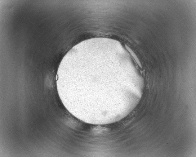 X0000068260515200605121823