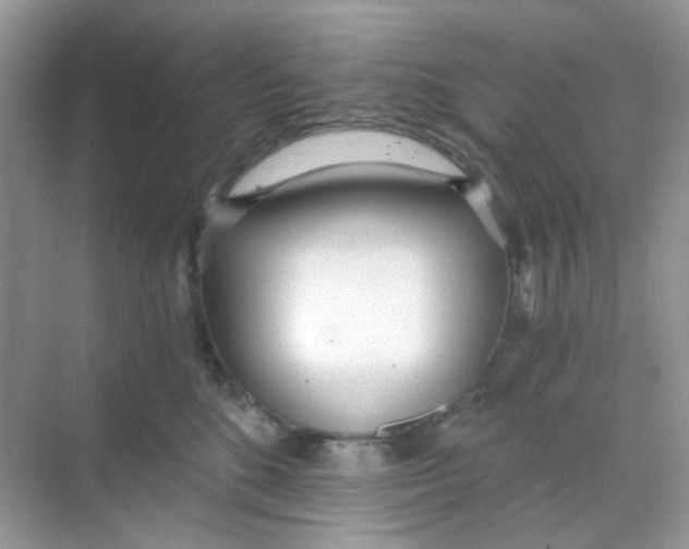 X0000068260520200605121823