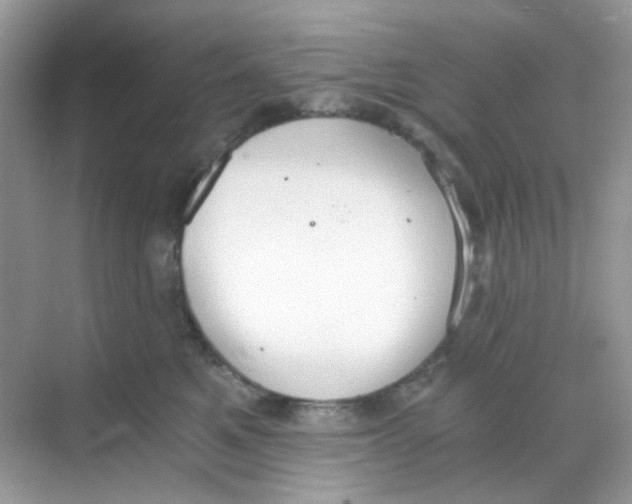 X0000068260521200605121823