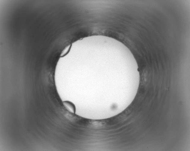 X0000068260522200605121823