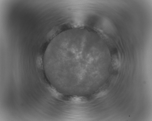 X0000068260523200605121823