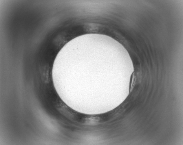 X0000068260525200605121823