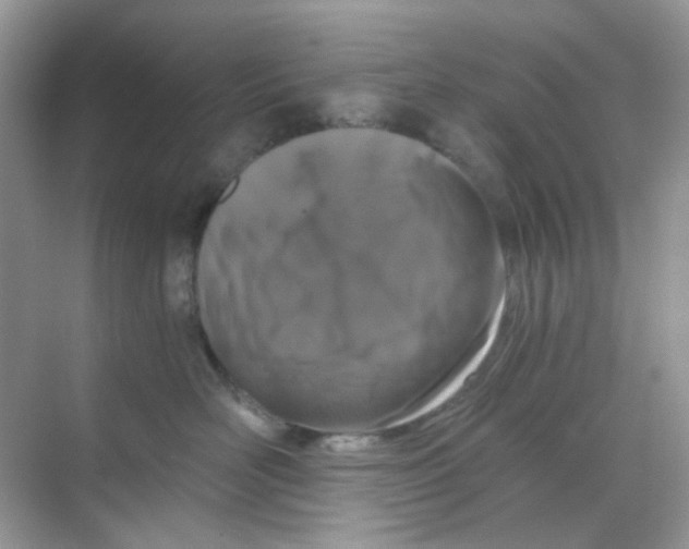 X0000068260526200605121823