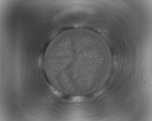 X0000068260527200605121823