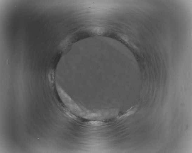 X0000068260528200605121823