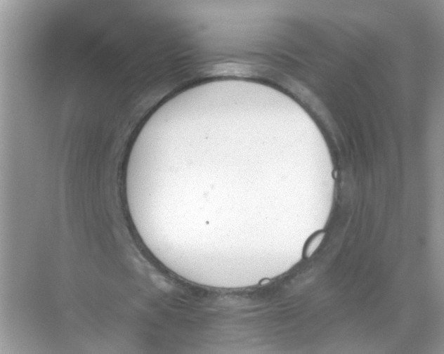 X0000068260529200605121822