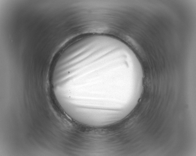 X0000068260532200605121822