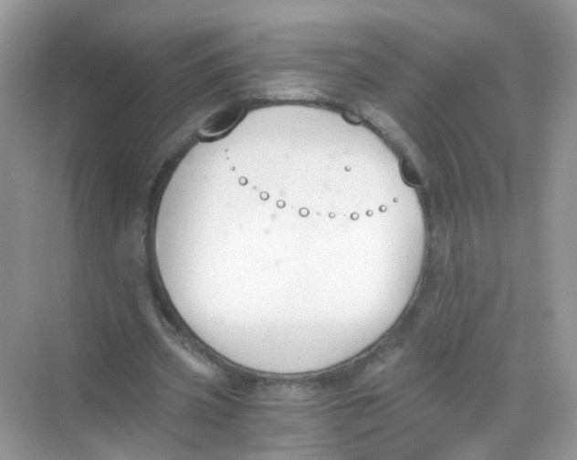 X0000068260533200605121822