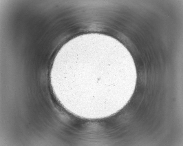 X0000068260534200605121822