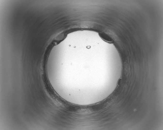 X0000068260536200605121822