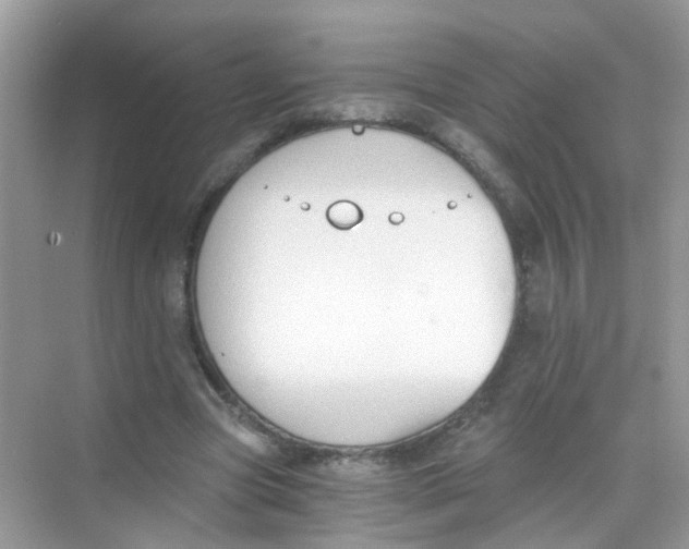 X0000068260537200605121823