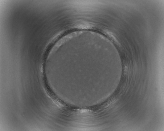 X0000068260539200605121823