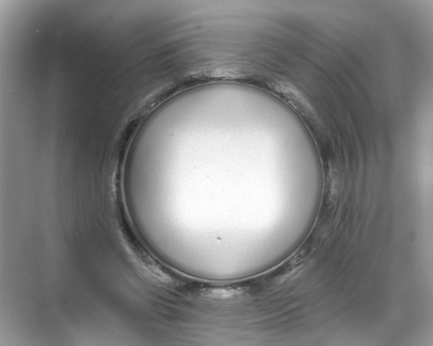 X0000068260542200605121823