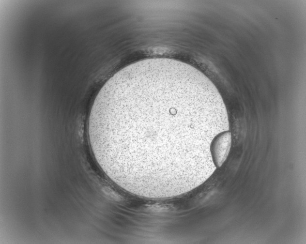 X0000068260545200605121823