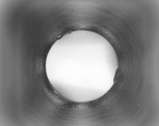 X0000068260546200605121823