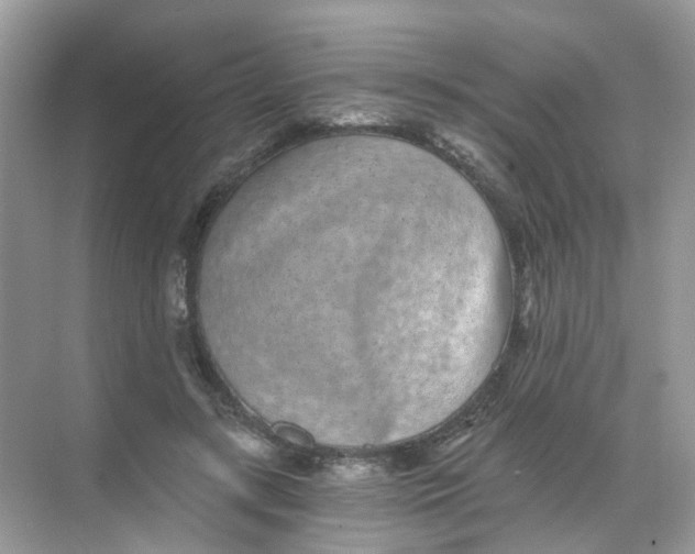 X0000068260547200605121823