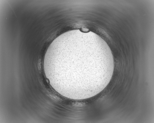 X0000068260549200605121823