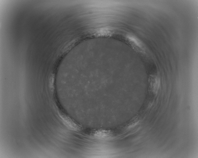 X0000068260550200605121823