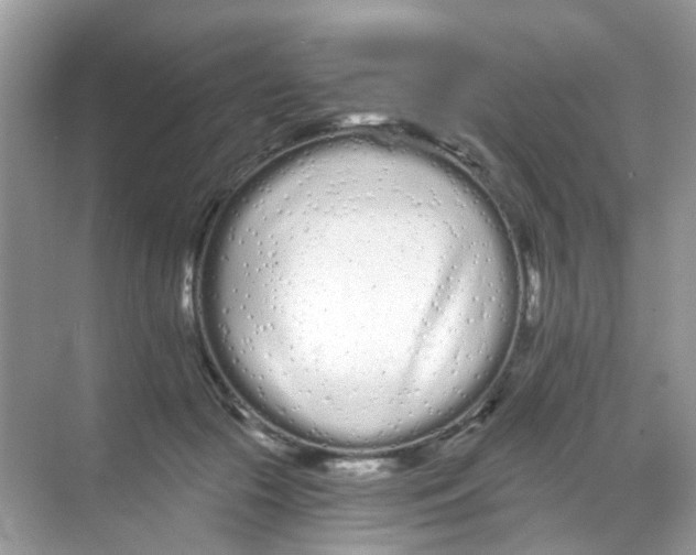 X0000068260553200605121823