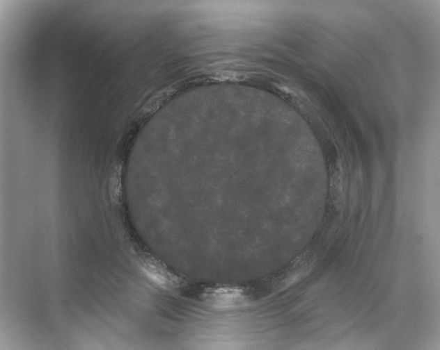 X0000068260554200605121823