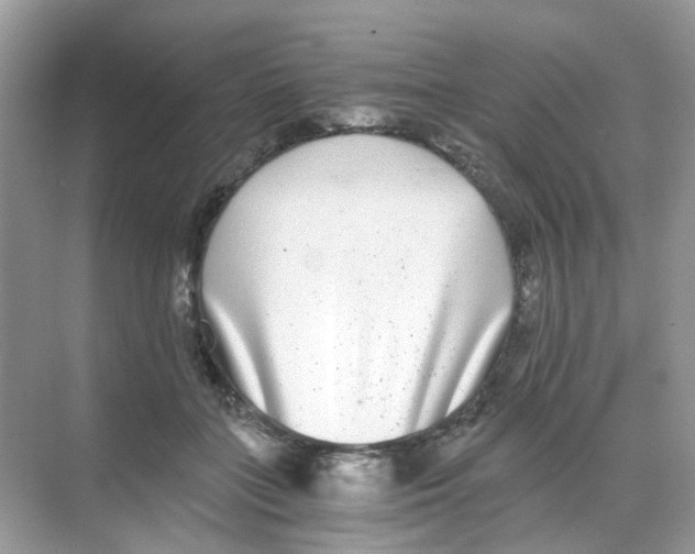 X0000068260555200605121823