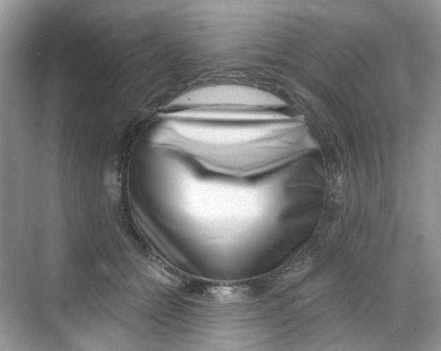 X0000068260558200605121823