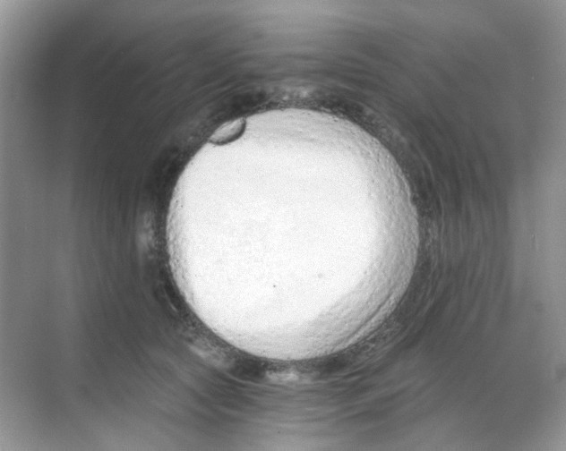 X0000068260561200605121823