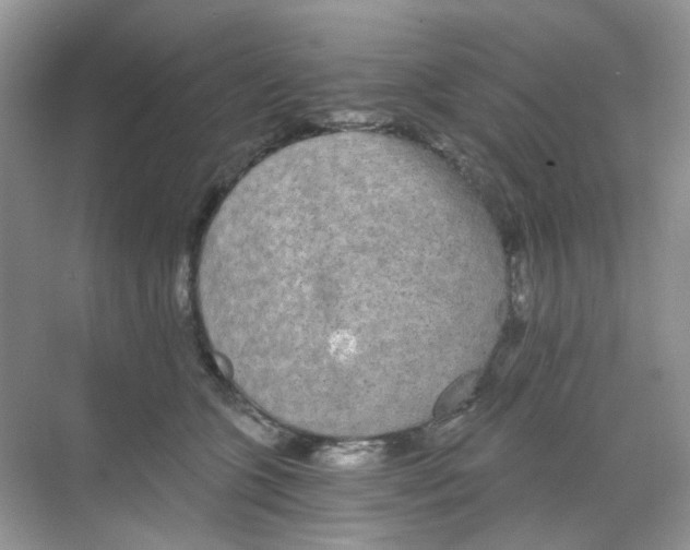 X0000068260563200605121823