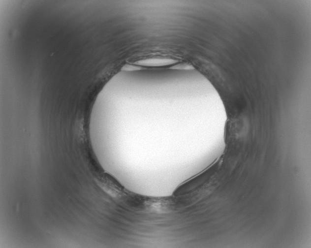 X0000068260564200605121823