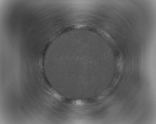 X0000068260565200605121823