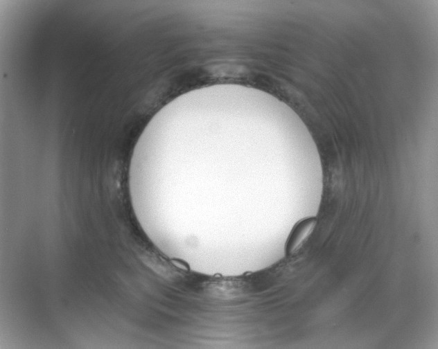 X0000068260567200605121823