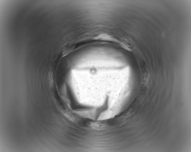 X0000068260568200605121823