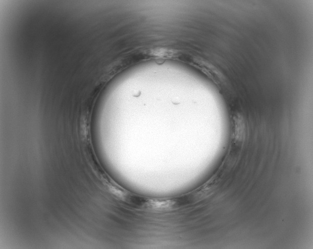 X0000068260569200605121823