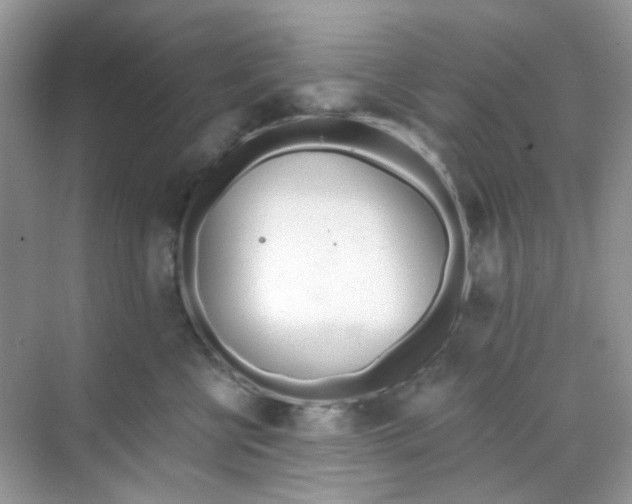 X0000068260570200605121823