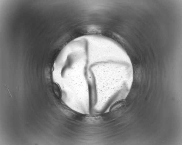 X0000068260571200605121823