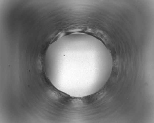 X0000068260572200605121823