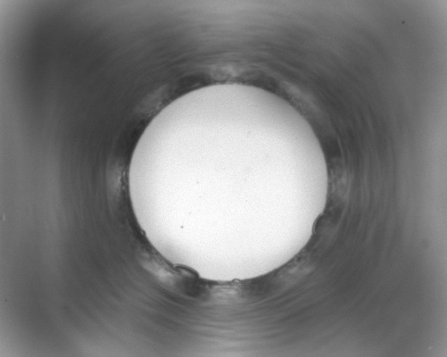 X0000068260574200605121823