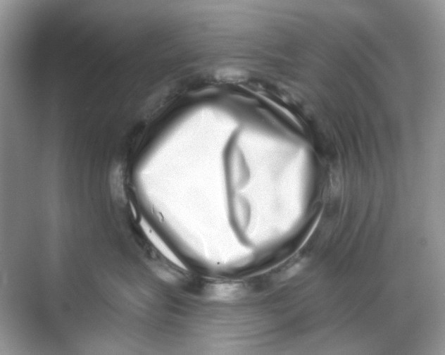 X0000068260575200605121823