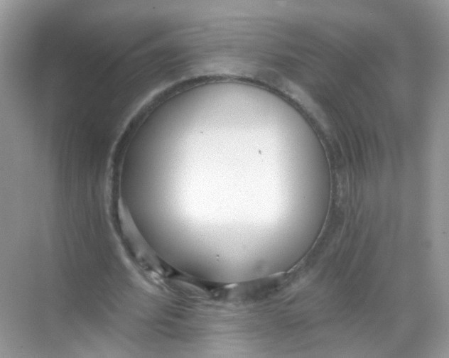 X0000068260580200605121822