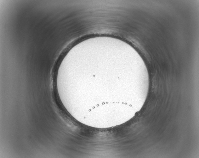 X0000068260584200605121822