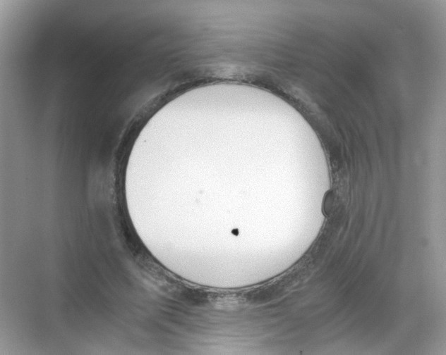 X0000068260587200605121822