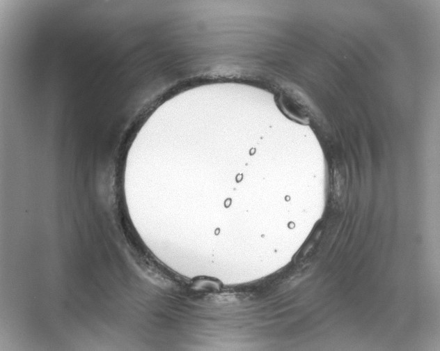 X0000068260588200605121822