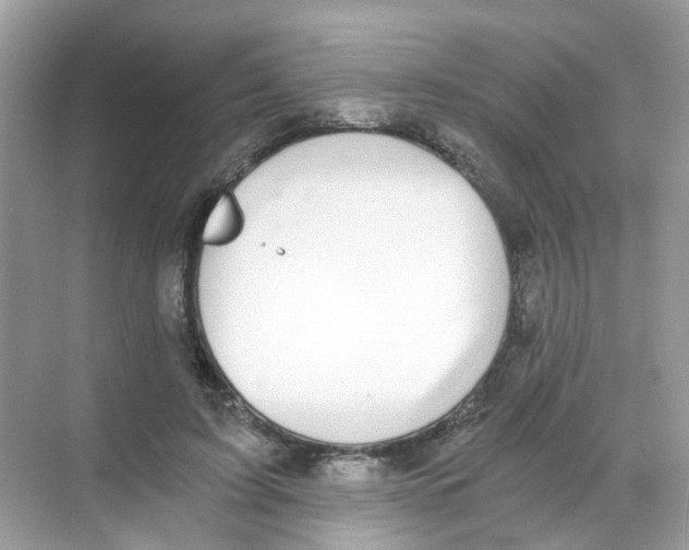 X0000068260595200605121822