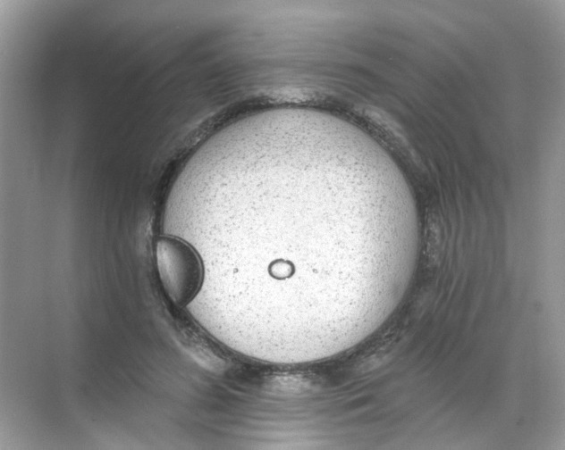 X0000068260596200605121822