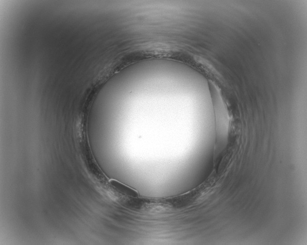 X0000068260597200605121822