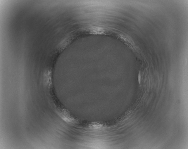 X0000068260598200605121822