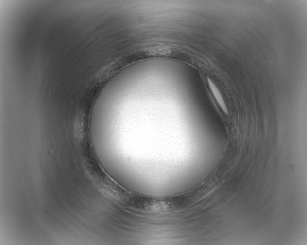 X0000068260600200605121822