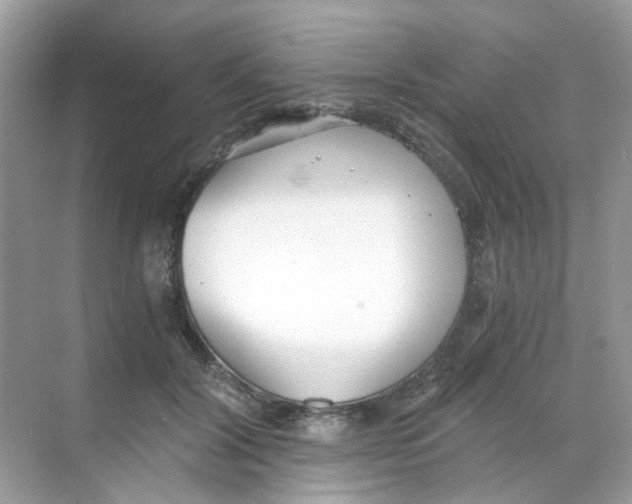 X0000068260604200605121822