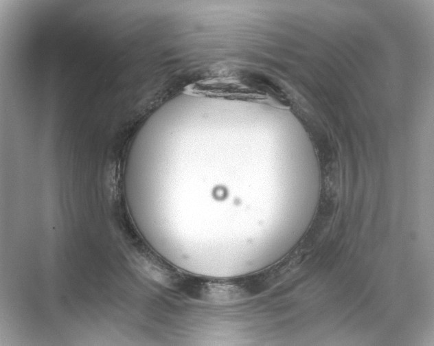 X0000068260605200605121822