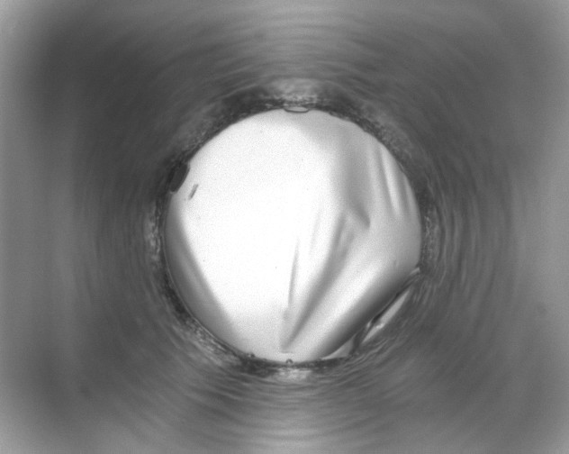 X0000068260609200605121822